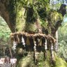 Фото профиля 地球人