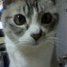 ユキ 的头像