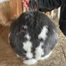 Ethnobun profil fotoğrafı