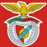 Profilbild von Manuel Magalhães