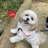 笙莉 的头像