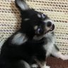 私's profile picture