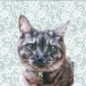 ꕥ morimi (もりみ)ꕥ profil fotoğrafı