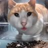 Sal's profile picture