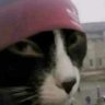 Profilbild von mrff