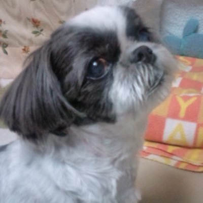 jwyqLCnSu4lfAV2's profile picture