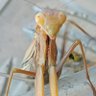 Фото профиля Fulljencio