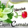 Фото профиля umutcan
