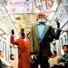 高级内线刘闪 的头像