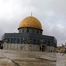 Фото профиля Kamelmoz