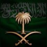 ناصر's profile picture