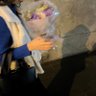 ゆ's profile picture