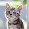♪凜♪ profil fotoğrafı