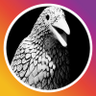 Born's profile picture