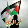🇩🇿🇵🇸⚔️⚖️🗝🔎🪖📝🐝🐺🐎🎖nourdden red☀️'s profile picture