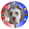 Wake Up America's profile picture