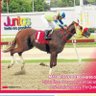 Profilbild von El Cascabel del Hipismo