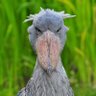 ۵۶۵'s profile picture