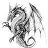 🐉Dragón marino 🌊's profile picture