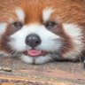 Profilbild von nonon