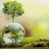 TiuviRuiz profil fotoğrafı