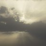 Luminosis's profile picture