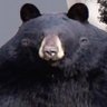 Profilbild von TheShadowman