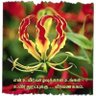 Profilbild von ஈழத்தமிழன்