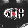 Beşiktaşlibirisiişte profil fotoğrafı