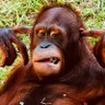 Yentie Obiaa22🇬🇭 profil fotoğrafı