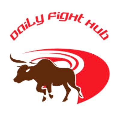 Daily Fights's profile picture