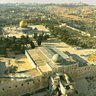 beautiful Arabโฆโฆ ๐ ็ๅคดๅ