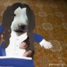 Zinky13 profil fotoğrafı