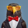 Blue Hawk profil fotoğrafı