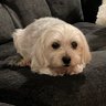 Cruiser's profile picture