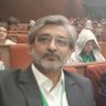 Hassan Naqvi 🇵🇰🇵🇸's profile picture