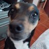 Profilbild von MeiM3i