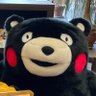 ガボゴギ's profile picture