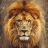 Tebogo Tau's profile picture