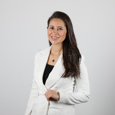 Şirin Sarı's profile picture