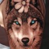 Volkan Bilici's profile picture