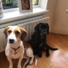 mcauleyb38@gmail.com profil fotoğrafı