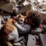 Ali A AKçay profil fotoğrafı