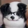 小哒三次方(。ì _ í。)'s profile picture