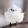 かん姉 的头像