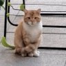 minoucha profil fotoğrafı