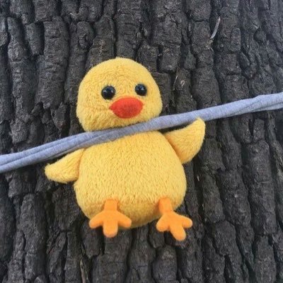 kitaaja1217's profile picture