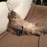 Chris's profile picture