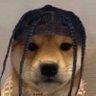 eBucefal's profile picture