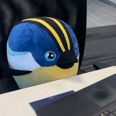 disfruta lo botado's profile picture